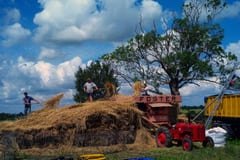 Threshing in Suffolk, photographed by Eamonn McCabe